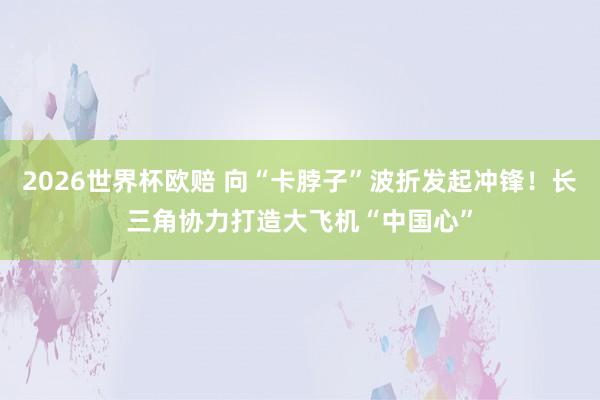 2026世界杯欧赔 向“卡脖子”波折发起冲锋！长三角协力打造大飞机“中国心”