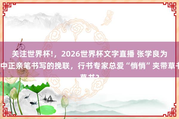 关注世界杯!，2026世界杯文字直播 张学良为蒋中正亲笔书写的挽联，行书专家总爱“悄悄”夹带草书？