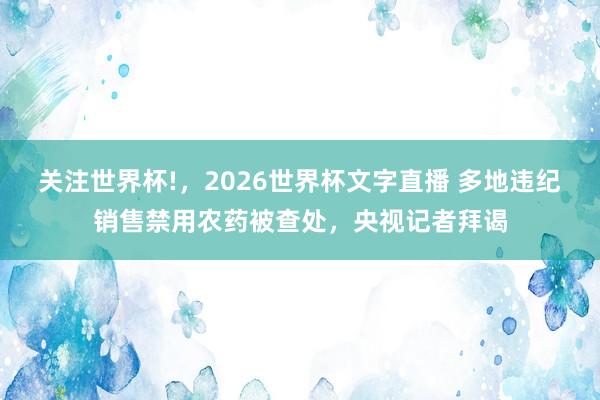 关注世界杯!，2026世界杯文字直播 多地违纪销售禁用农药被查处，央视记者拜谒