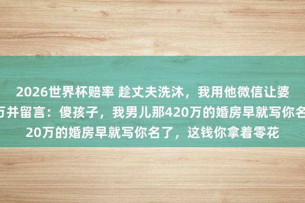 2026世界杯赔率 趁丈夫洗沐，我用他微信让婆婆转八千，她秒转8万并留言：傻孩子，我男儿那420万的婚房早就写你名了，这钱你拿着零花