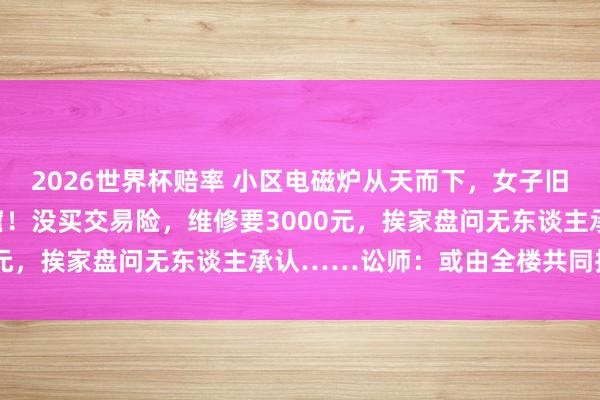 2026世界杯赔率 小区电磁炉从天而下，女子旧年买的新车被砸出大洞窟！没买交易险，维修要3000元，挨家盘问无东谈主承认……讼师：或由全楼共同抵偿