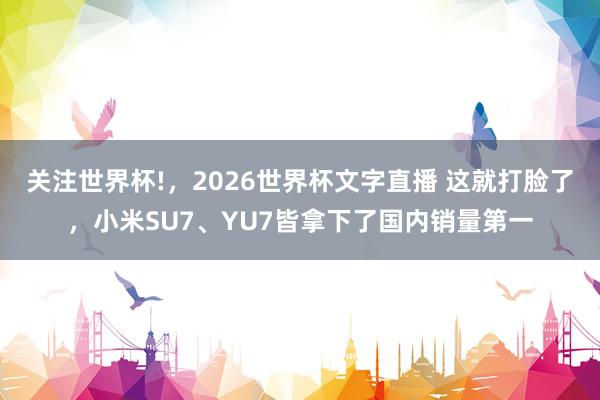 关注世界杯!,2026世界杯文字直播 这就打脸了,小米SU7、YU7皆拿下了国内销量第一