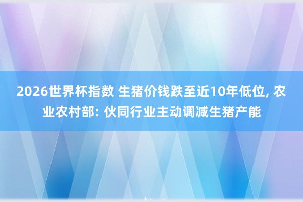 2026世界杯指数 生猪价钱跌至近10年低位, 农业农村部: 伙同行业主动调减生猪产能