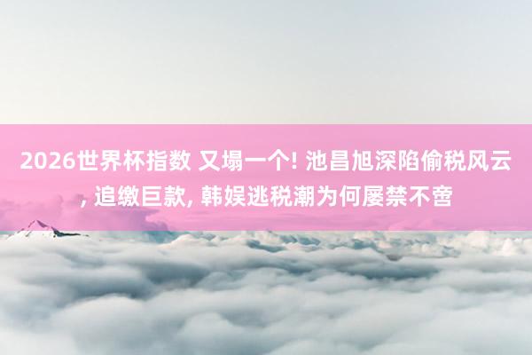 2026世界杯指数 又塌一个! 池昌旭深陷偷税风云， 追缴巨款， 韩娱逃税潮为何屡禁不啻