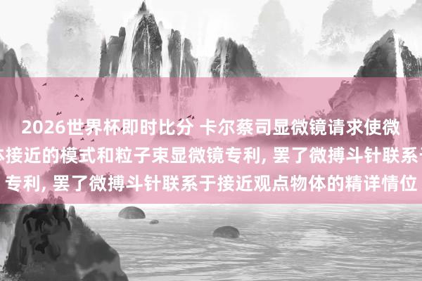 2026世界杯即时比分 卡尔蔡司显微镜请求使微搏斗针朝向接近观点物体接近的模式和粒子束显微镜专利, 罢了微搏斗针联系于接近观点物体的精详情位