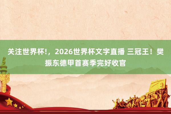 关注世界杯!，2026世界杯文字直播 三冠王！樊振东德甲首赛季完好收官