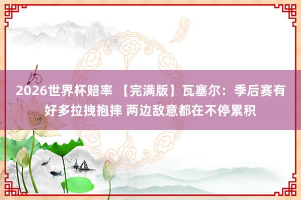 2026世界杯赔率 【完满版】瓦塞尔:季后赛有好多拉拽抱摔 两边敌意都在不停累积
