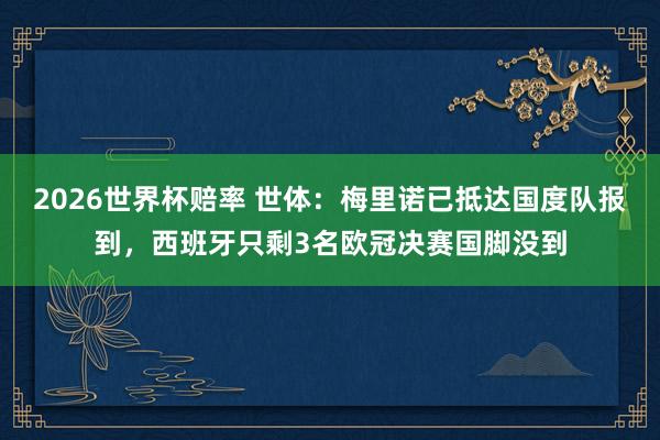 2026世界杯赔率 世体：梅里诺已抵达国度队报到，西班牙只剩3名欧冠决赛国脚没到