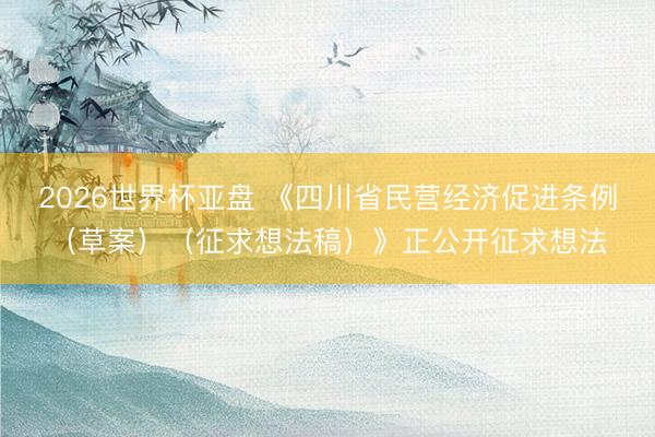 2026世界杯亚盘 《四川省民营经济促进条例（草案）（征求想法稿）》正公开征求想法