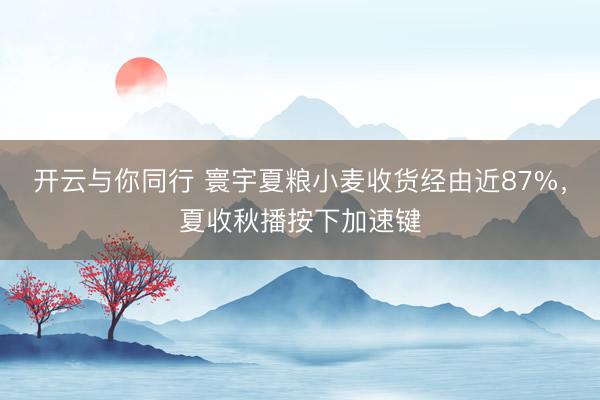 开云与你同行 寰宇夏粮小麦收货经由近87%，夏收秋播按下加速键