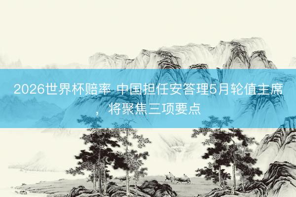 2026世界杯赔率 中国担任安答理5月轮值主席,将聚焦三项要点
