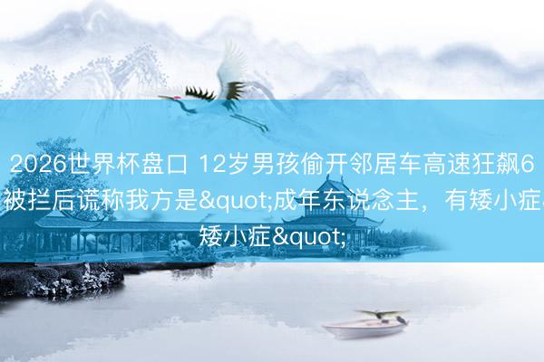 2026世界杯盘口 12岁男孩偷开邻居车高速狂飙6小时!被拦后谎称我方是"成年东说念主,有矮小症"