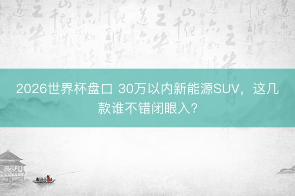 2026世界杯盘口 30万以内新能源SUV,这几款谁不错闭眼入?