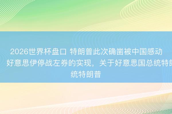 2026世界杯盘口 特朗普此次确凿被中国感动了! 好意思伊停战左券的实现,关于好意思国总统特朗普